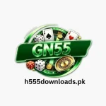GN55 Game