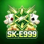 SK E999 Game